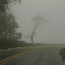 Shenandoah National Park
